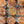 The Pointer XT Steak & Stout · Steak and Ale Pie (individual single person pie)