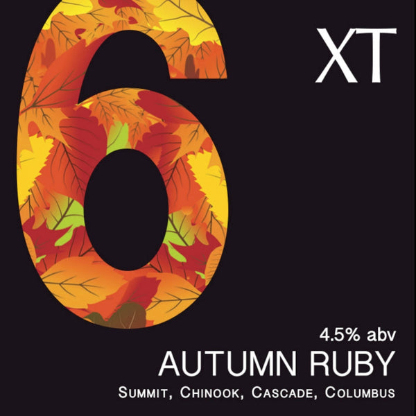XT6 (72-Pint Pin) £126.50+£50 refundable deposit