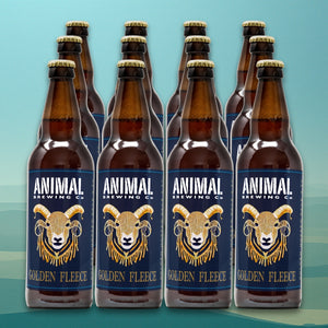 A square image with a pale blue background showing 12 brown glass bottles of XT Brewing Co's Golden Fleece beer featuring a ram's face.