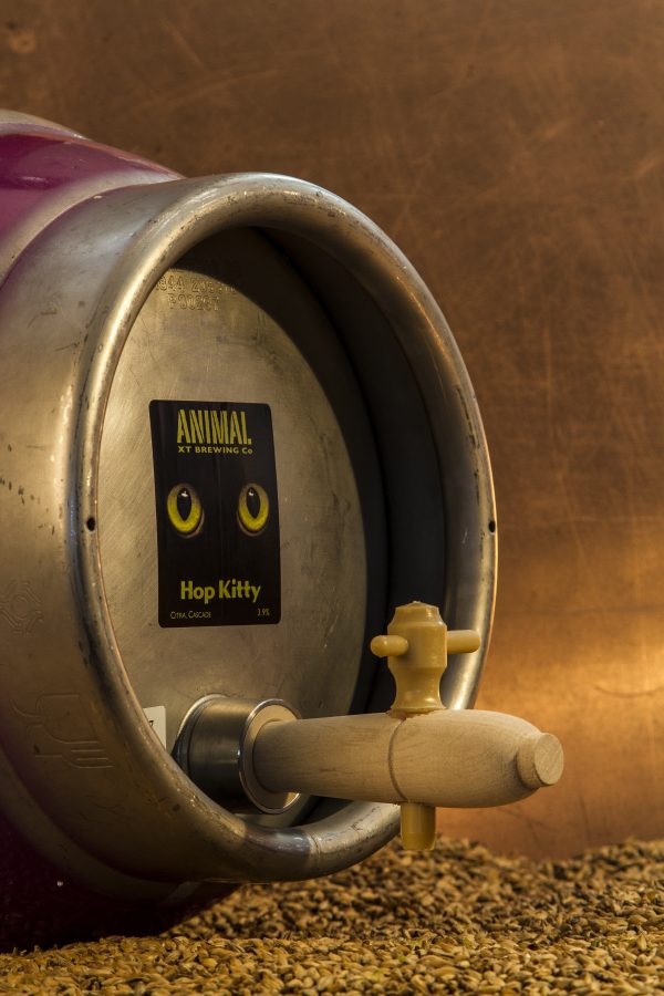 Hopkitty Citra 3.9% - Image 2